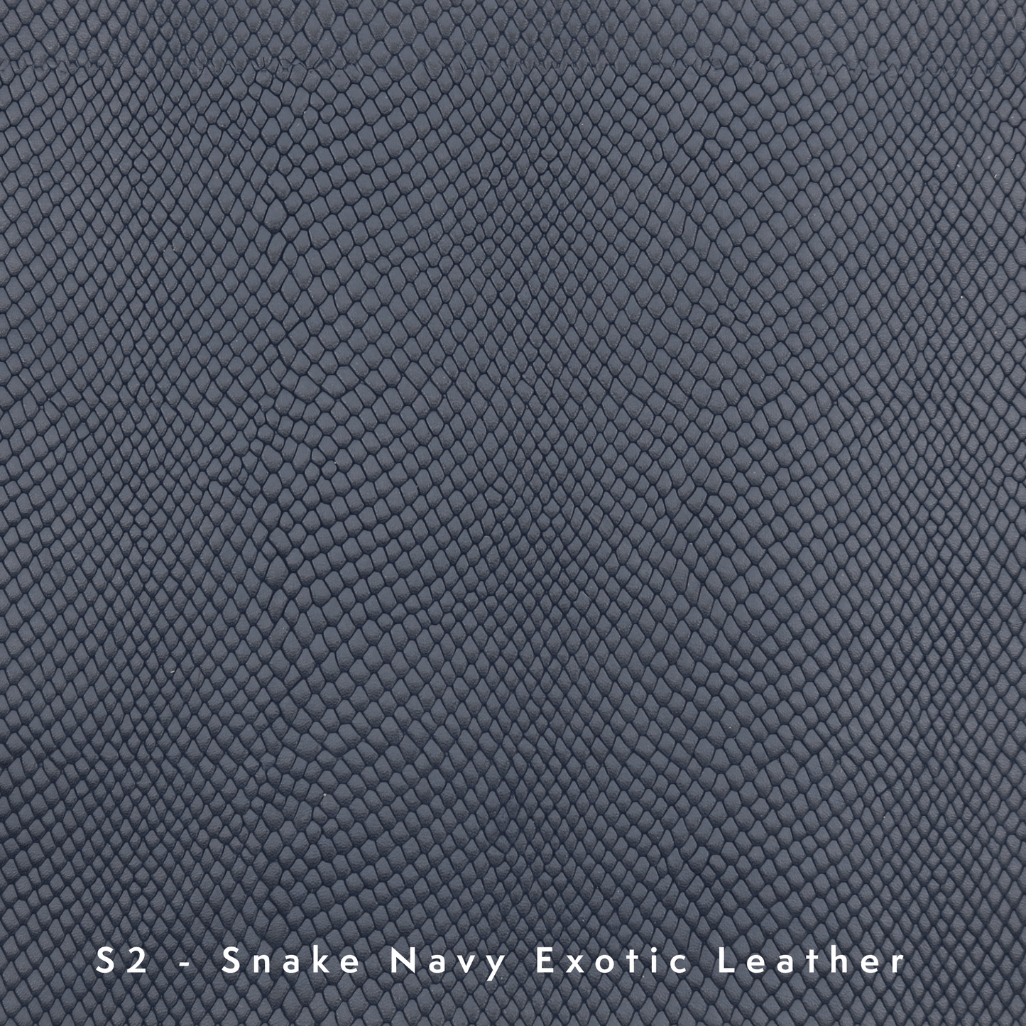 Matzah Cover #MC1010-B1