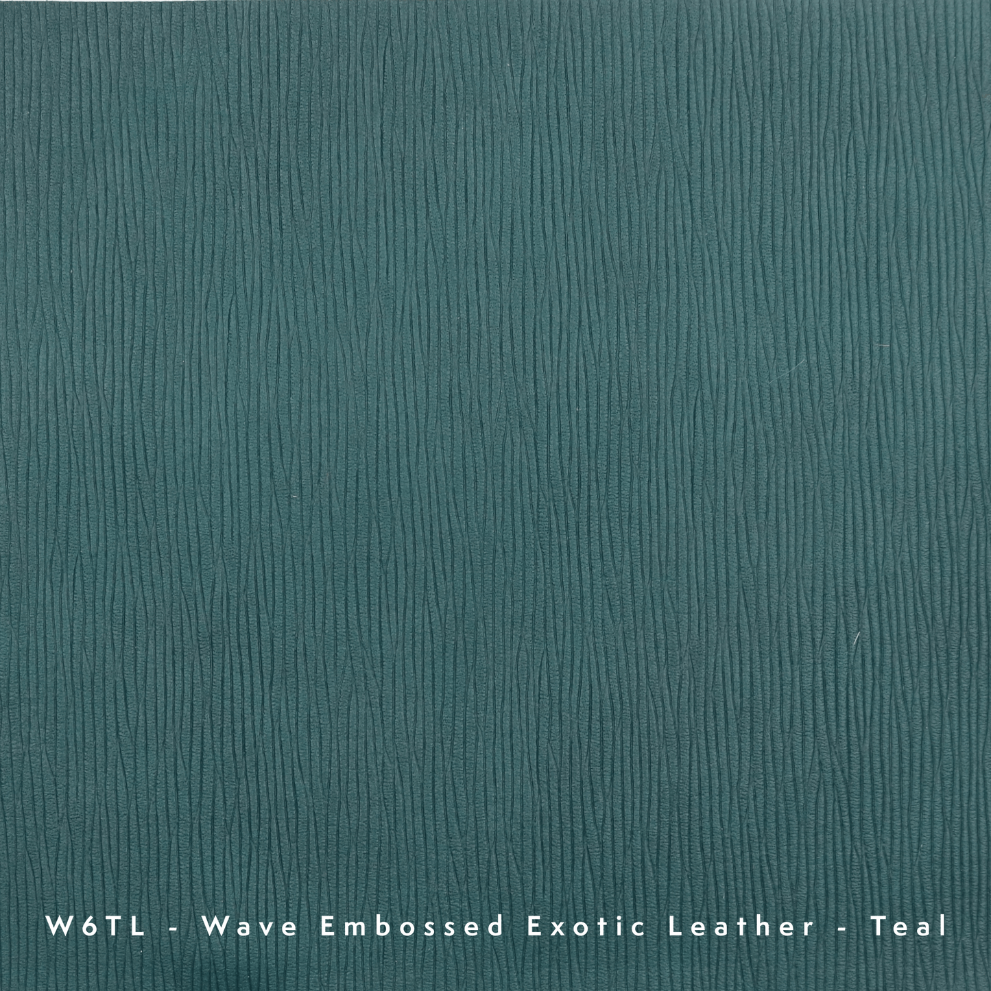 Pesach Set #PS1020-B1