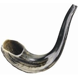 Shofars