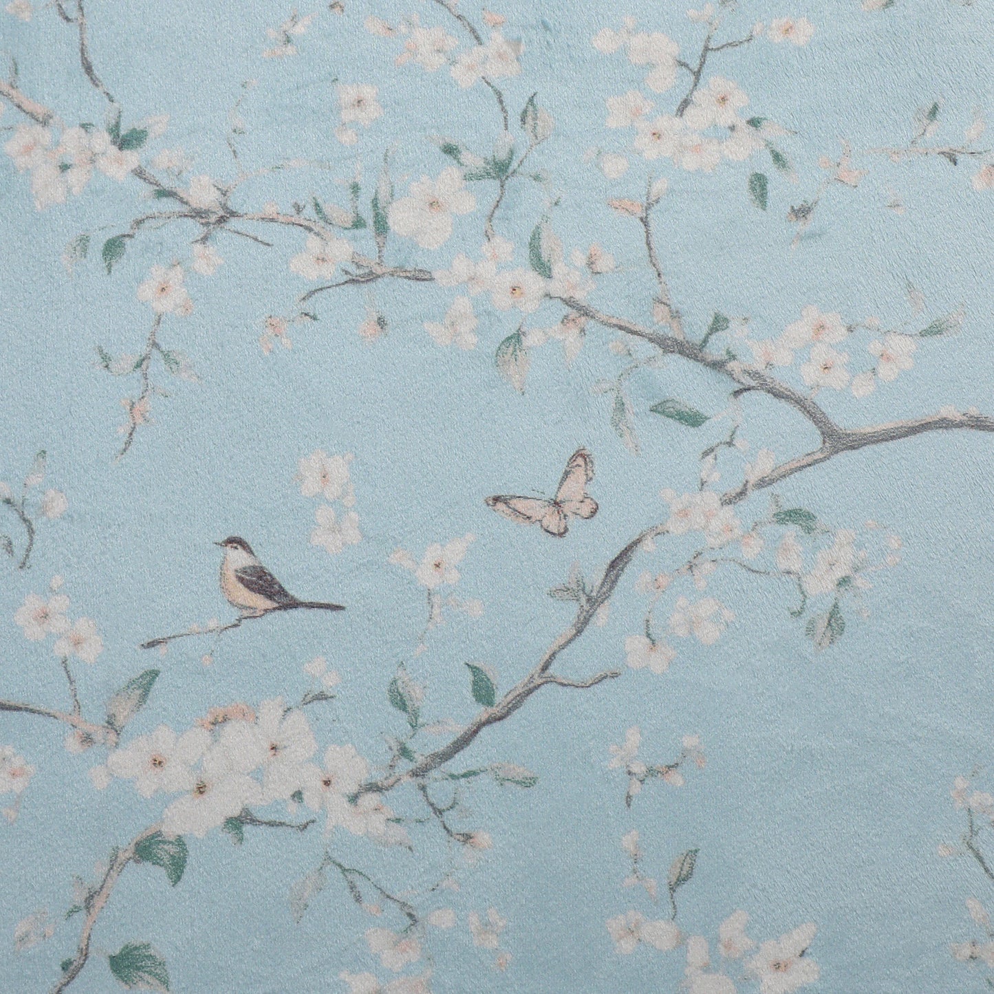 MTTC-1416 - Velvet Fabric Availability